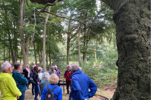 Natuur en historie op de Koerheuvel